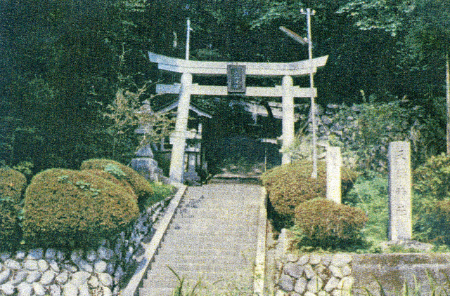 画像収集中