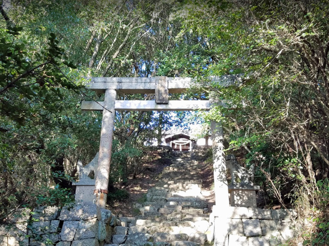 画像収集中