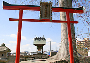 画像収集中