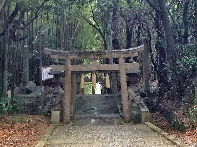 画像収集中