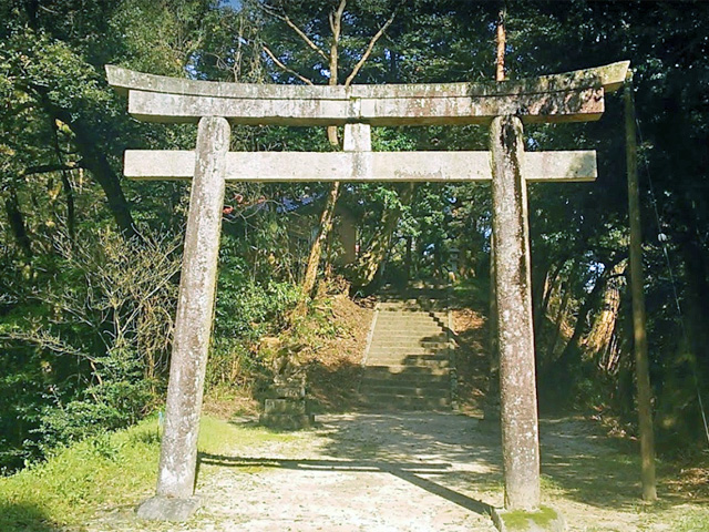 画像収集中
