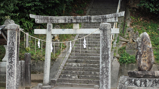 画像収集中