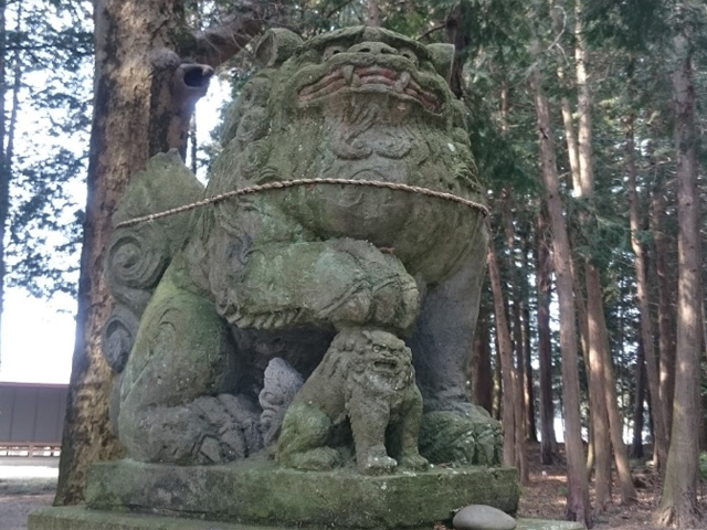 画像収集中