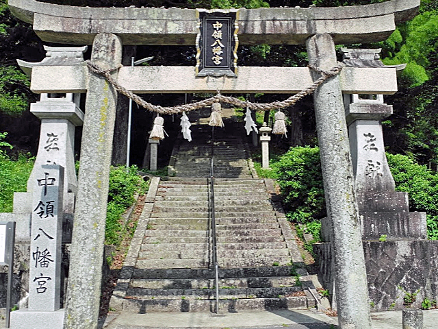 画像収集中