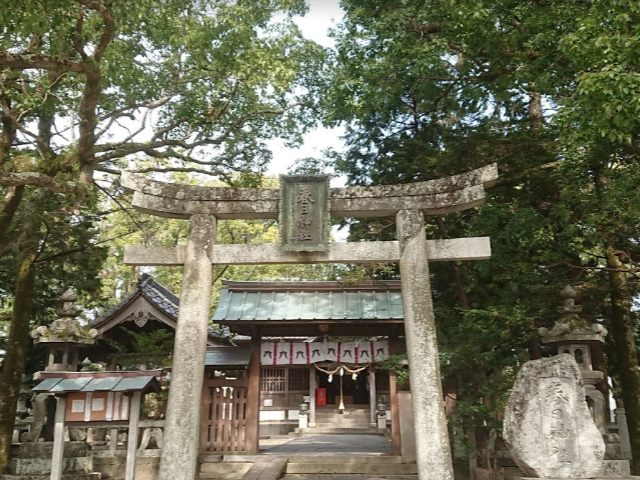 画像収集中