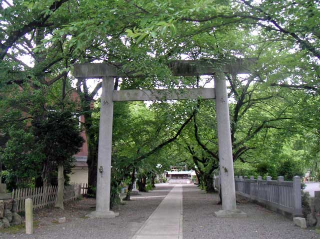 画像収集中