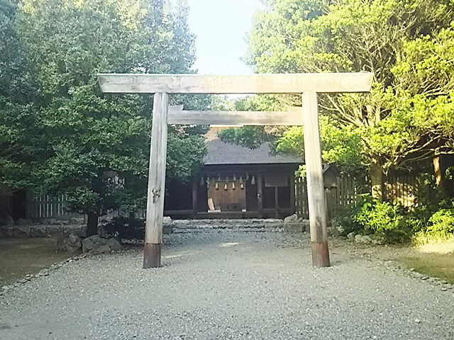 画像収集中