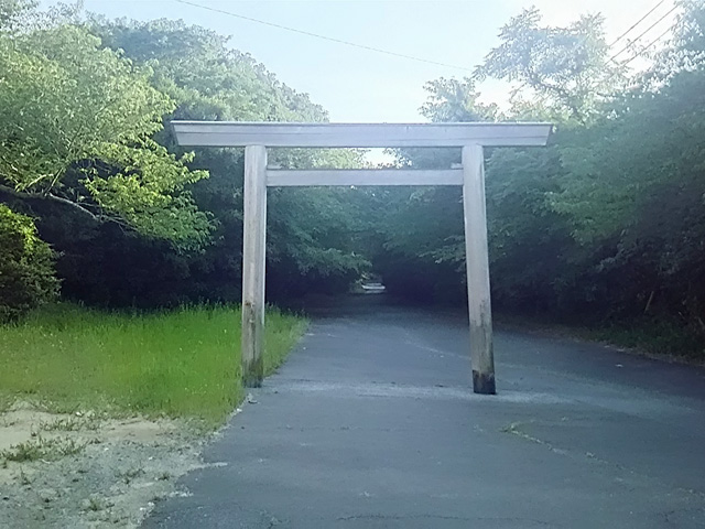 画像収集中