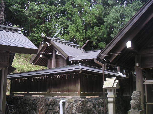 画像収集中