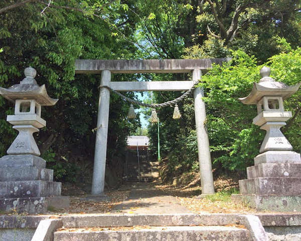 画像収集中