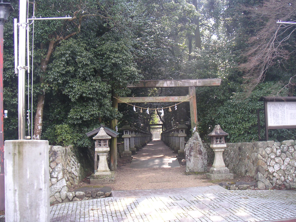画像収集中