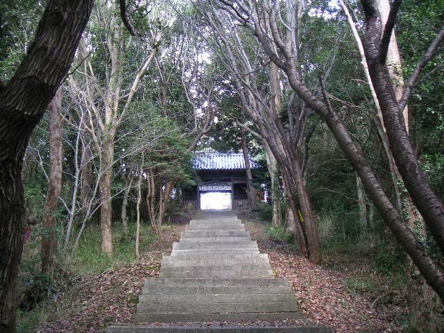 画像収集中